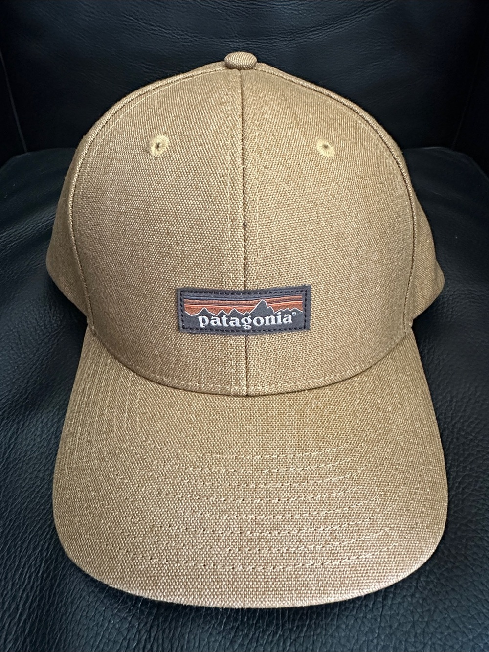 Patagonia Tin Shed Hat